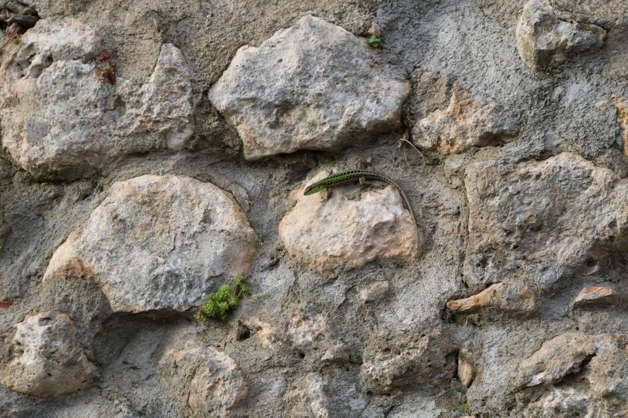 Il Fienile Nella Roccia Casole dʼElsa Exterior foto